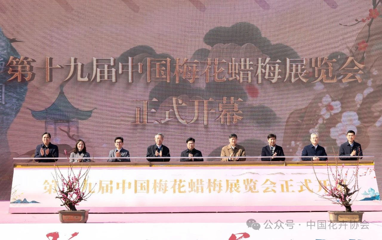 图片11.png