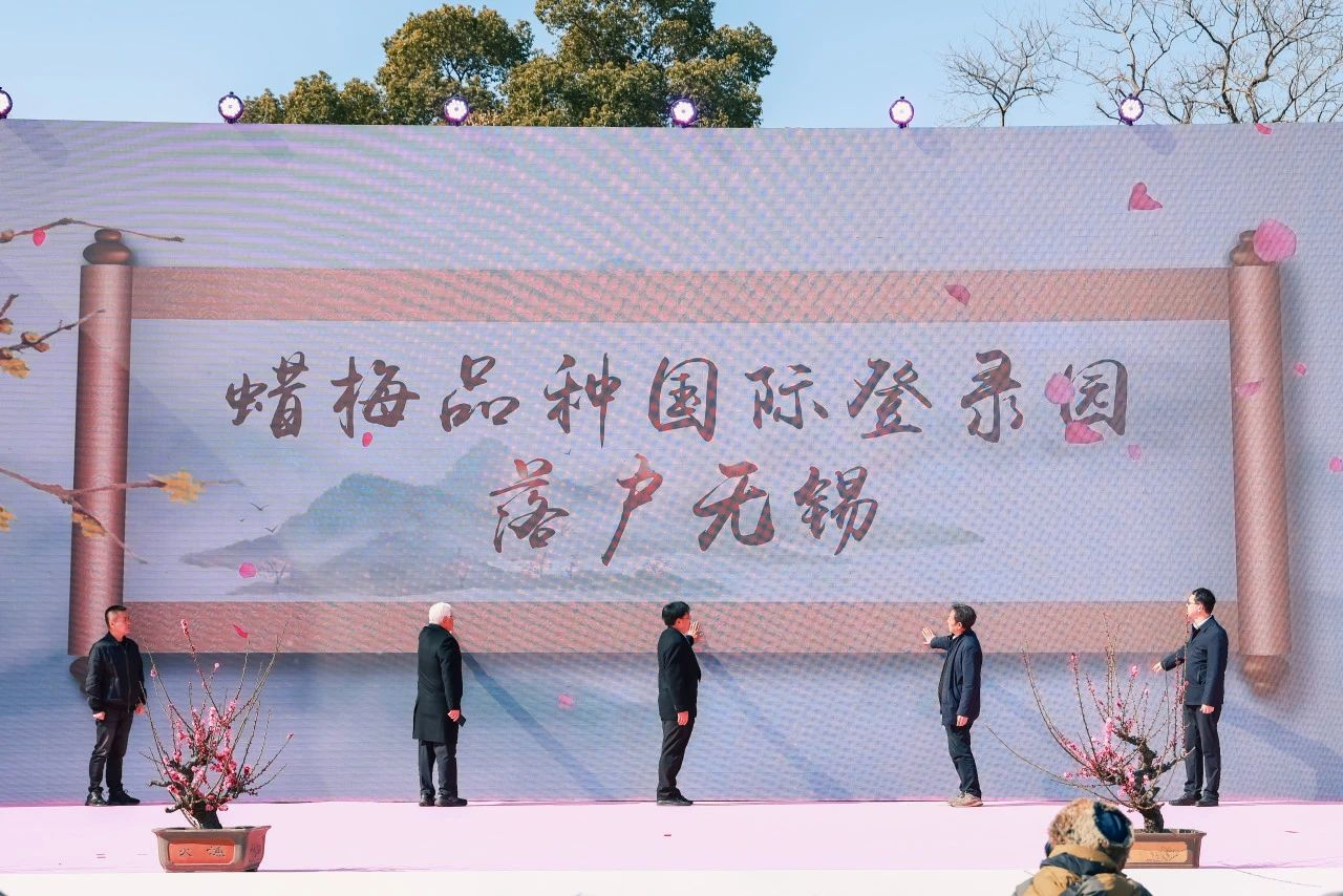 图片12.png
